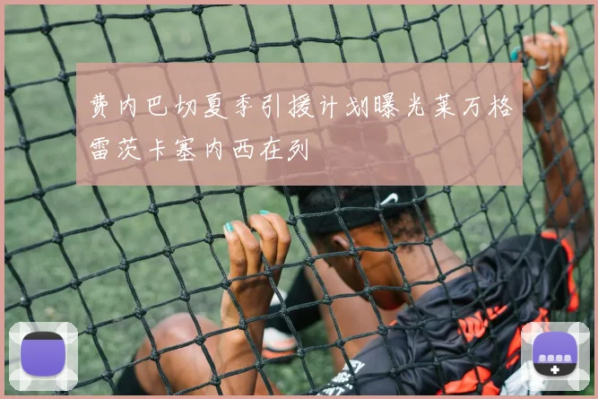 费内巴切夏季引援计划曝光莱万格雷茨卡塞内西在列